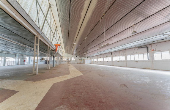 For Sale -  - Elche - Toscar