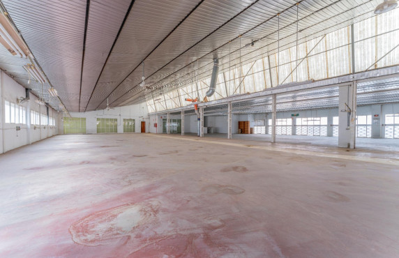 For Sale -  - Elche - Toscar