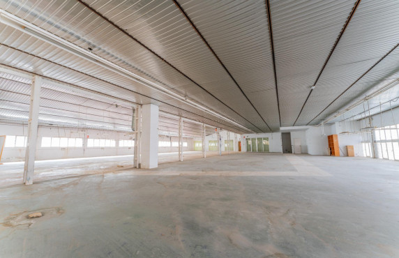 For Sale -  - Elche - Toscar