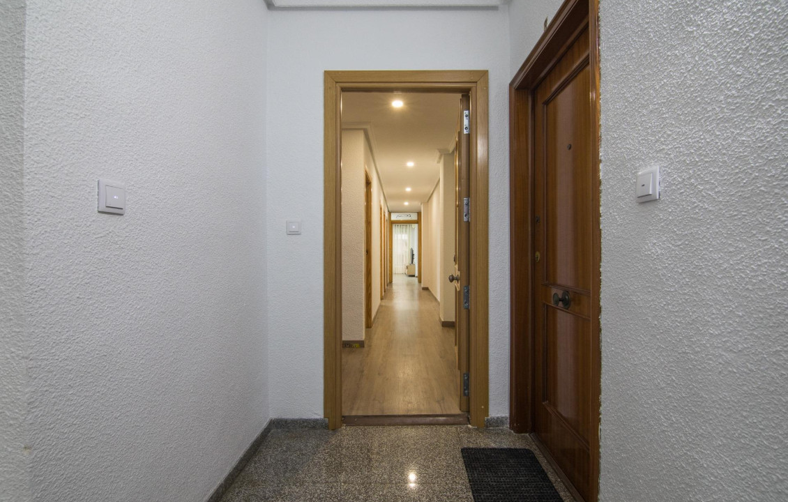 For Sale -  - Elche - Altabix