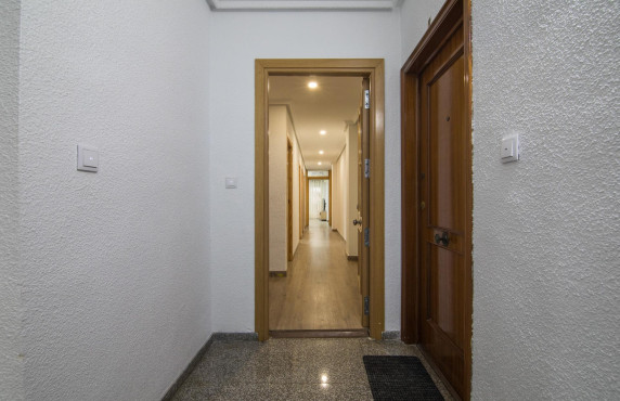 For Sale -  - Elche - Altabix