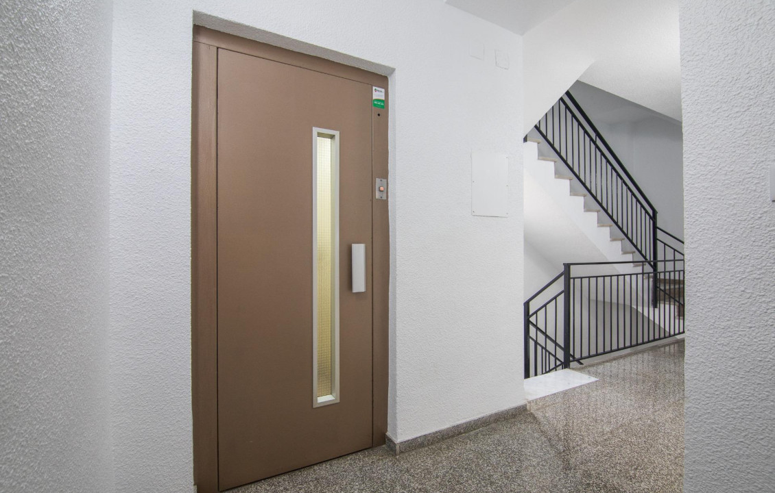 For Sale -  - Elche - Altabix
