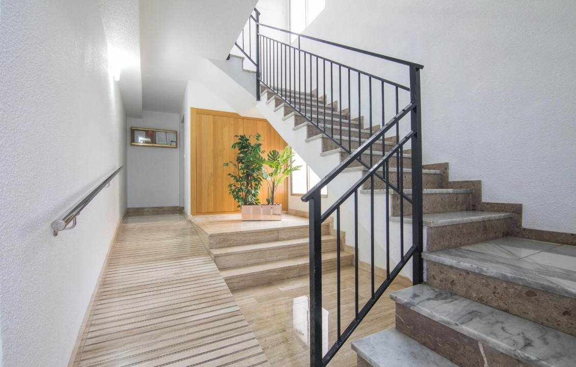 For Sale -  - Elche - Altabix