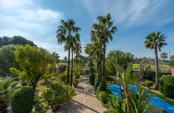 For Sale - Chalet - Perleta - Crta. santa pola