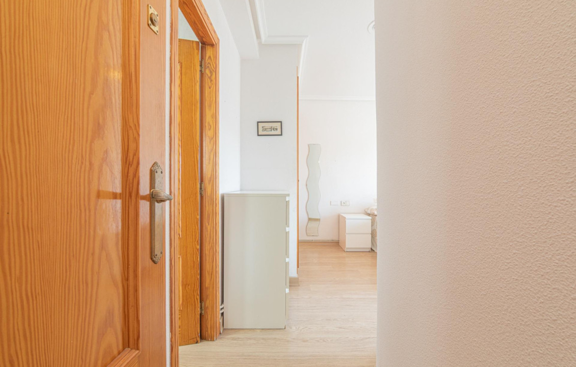 For Sale -  - Elche - Altabix