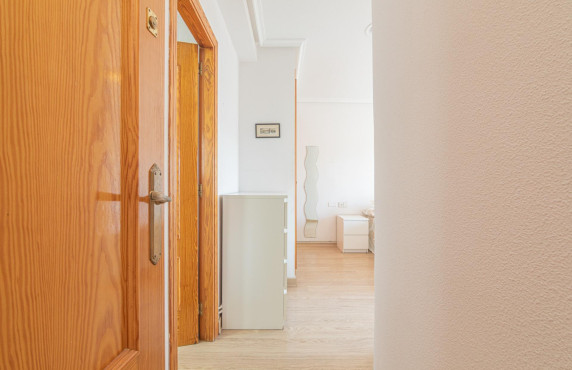 For Sale -  - Elche - Altabix