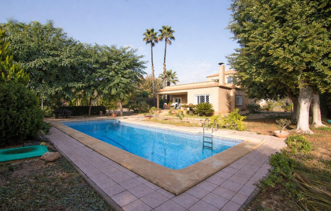For Sale -  - Elche - Elche / Elx