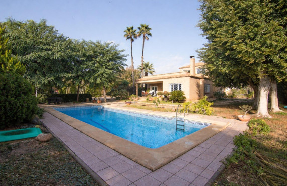 For Sale -  - Elche - Elche / Elx