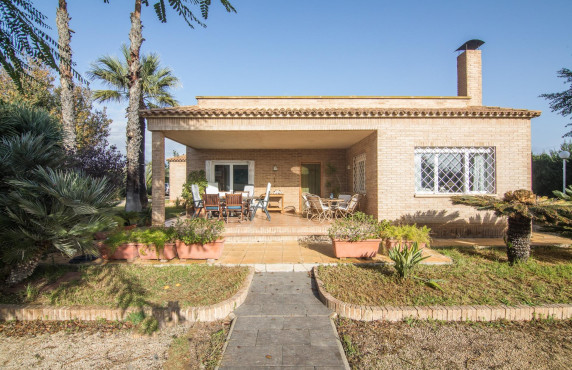 For Sale -  - Elche - Elche / Elx