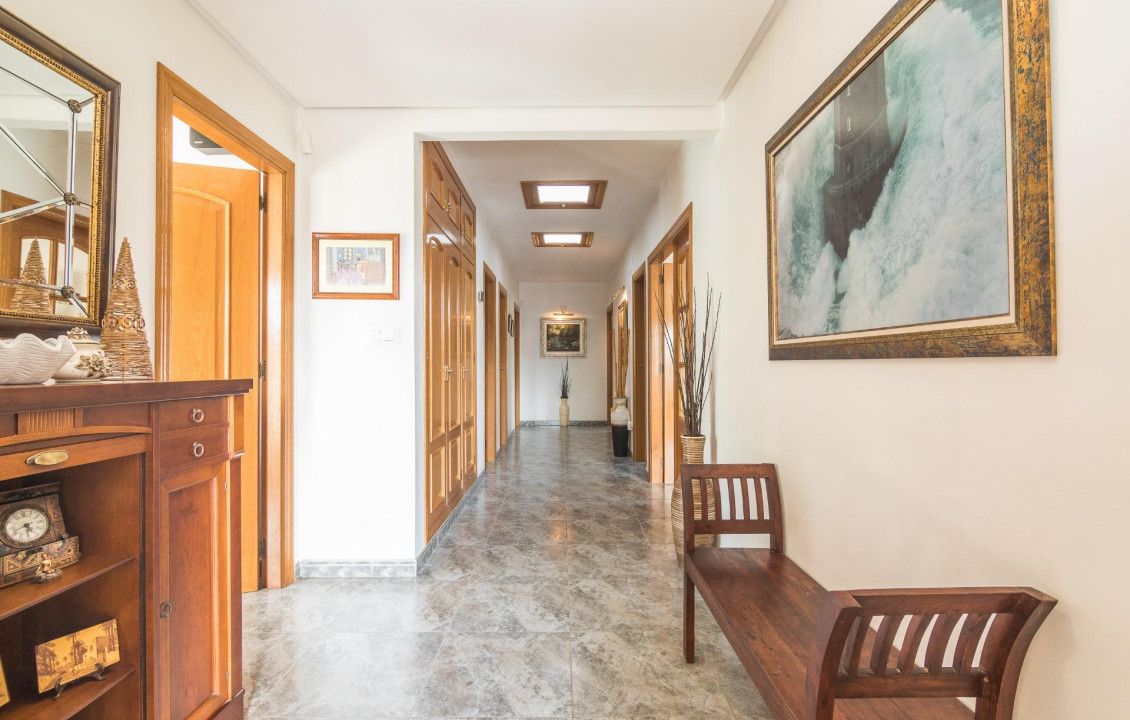 For Sale -  - Elche - Elche / Elx