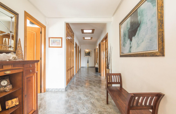 For Sale -  - Elche - Elche / Elx