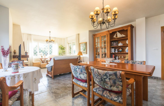 For Sale -  - Elche - Elche / Elx