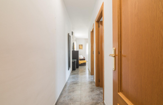 For Sale -  - Elche - Elche / Elx