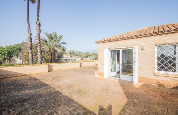 For Sale -  - Elche - Elche / Elx