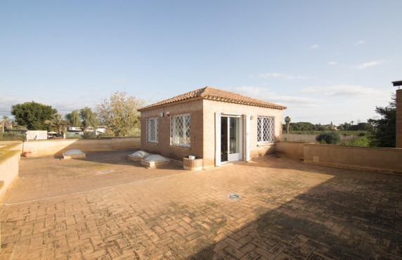 For Sale -  - Elche - Elche / Elx