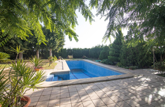 For Sale -  - Elche - Elche / Elx