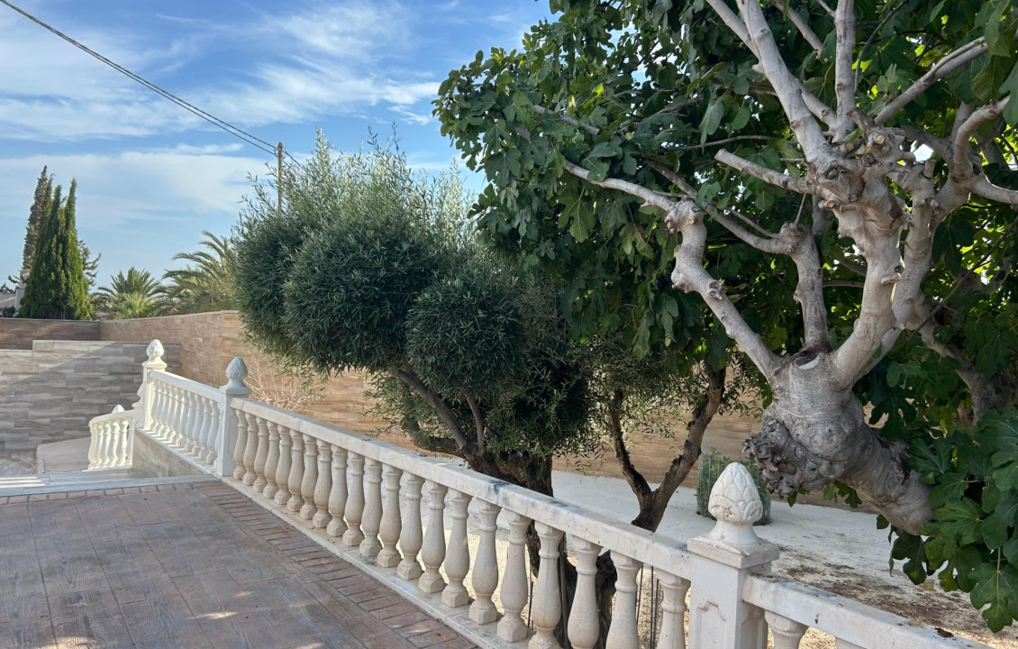For Sale -  - Torrellano