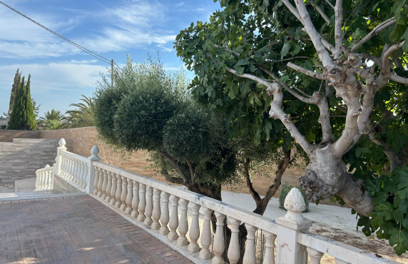 For Sale -  - Torrellano