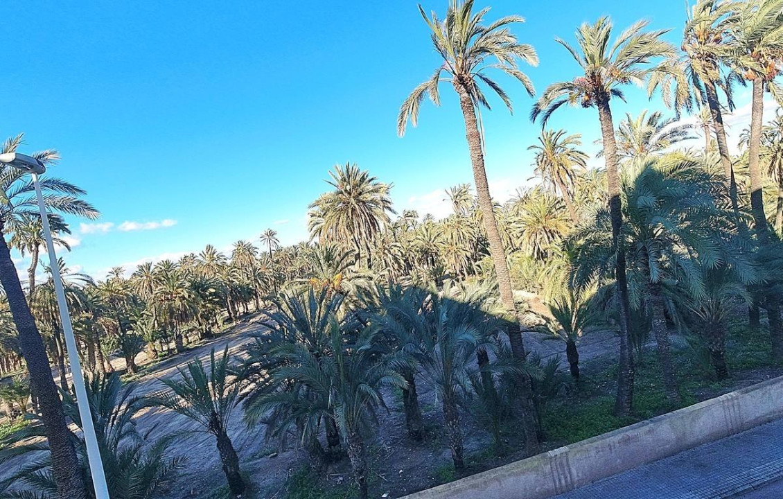 For Sale -  - Elche - Torreta - Portalada