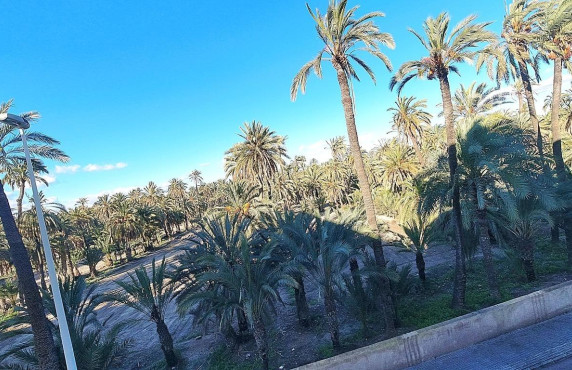 For Sale -  - Elche - Torreta - Portalada