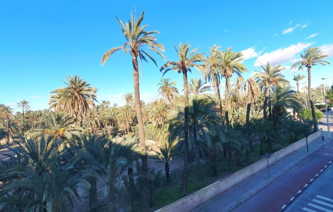For Sale -  - Elche - Torreta - Portalada