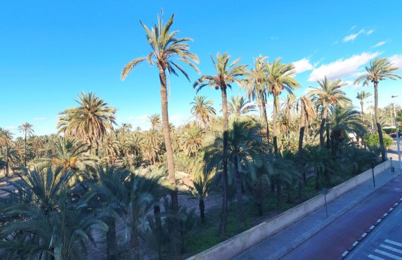 For Sale -  - Elche - Torreta - Portalada