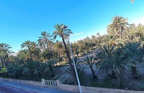 For Sale -  - Elche - Torreta - Portalada