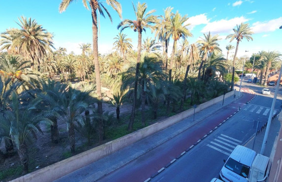 For Sale -  - Elche - Torreta - Portalada