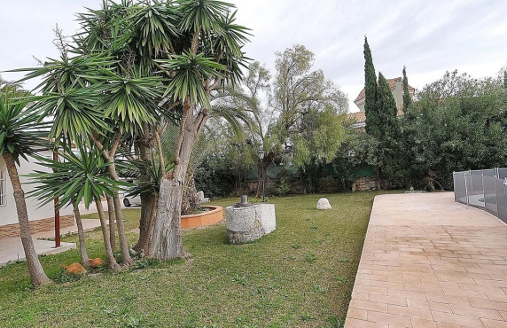For Sale -  - Elche - Peña Aguilas