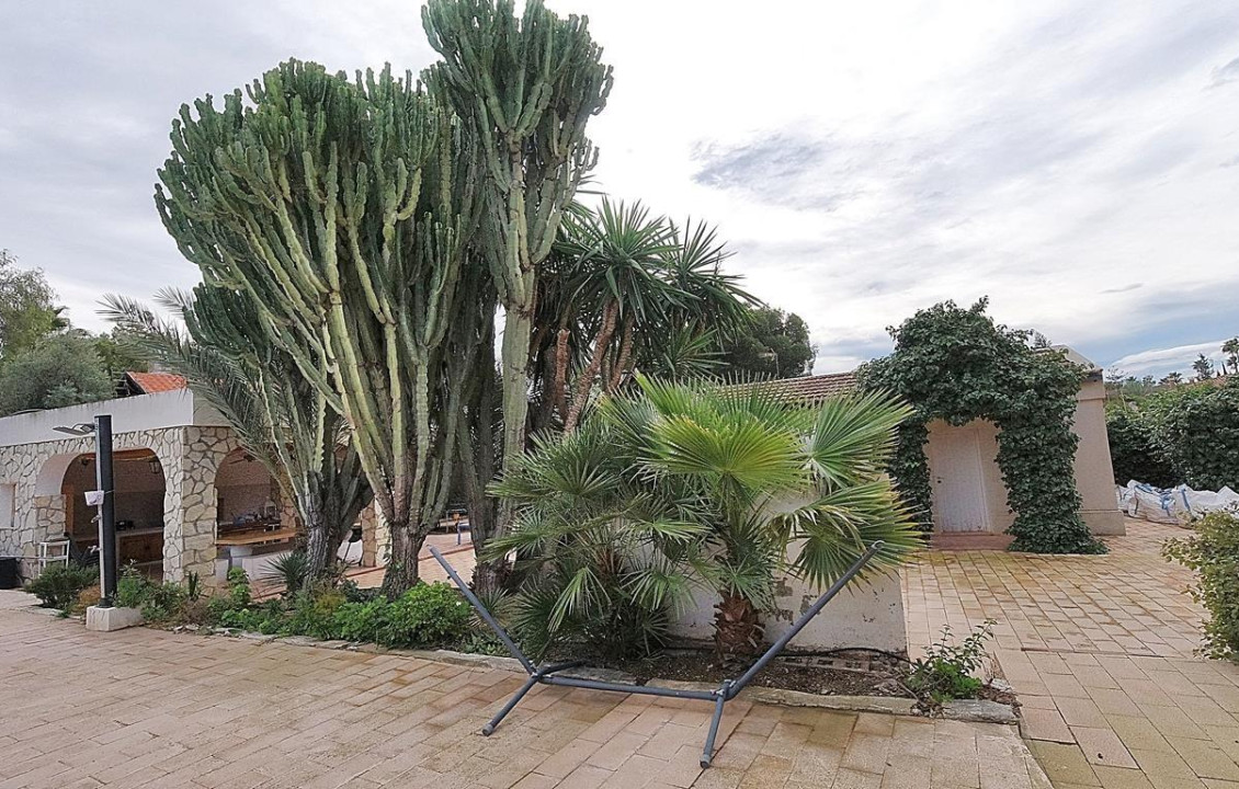 For Sale -  - Elche - Peña Aguilas