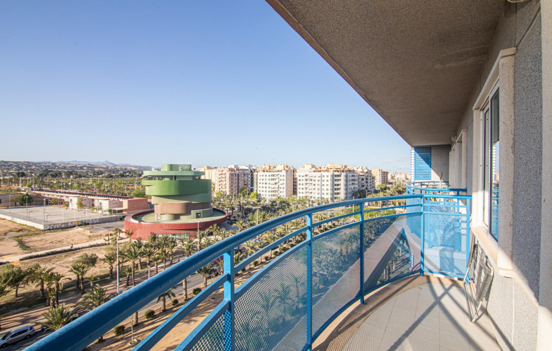 For Sale -  - Elche - Altabix