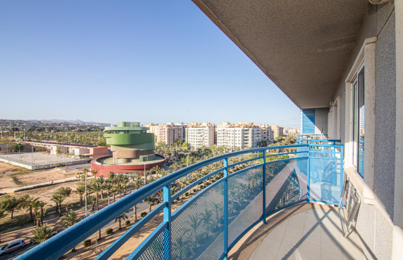 For Sale -  - Elche - Altabix