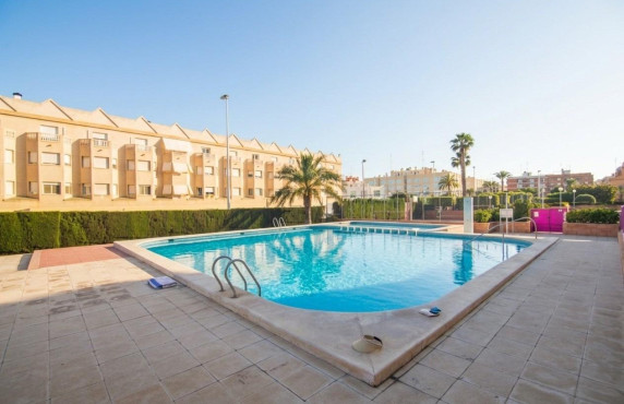 For Sale -  - Elche - Altabix
