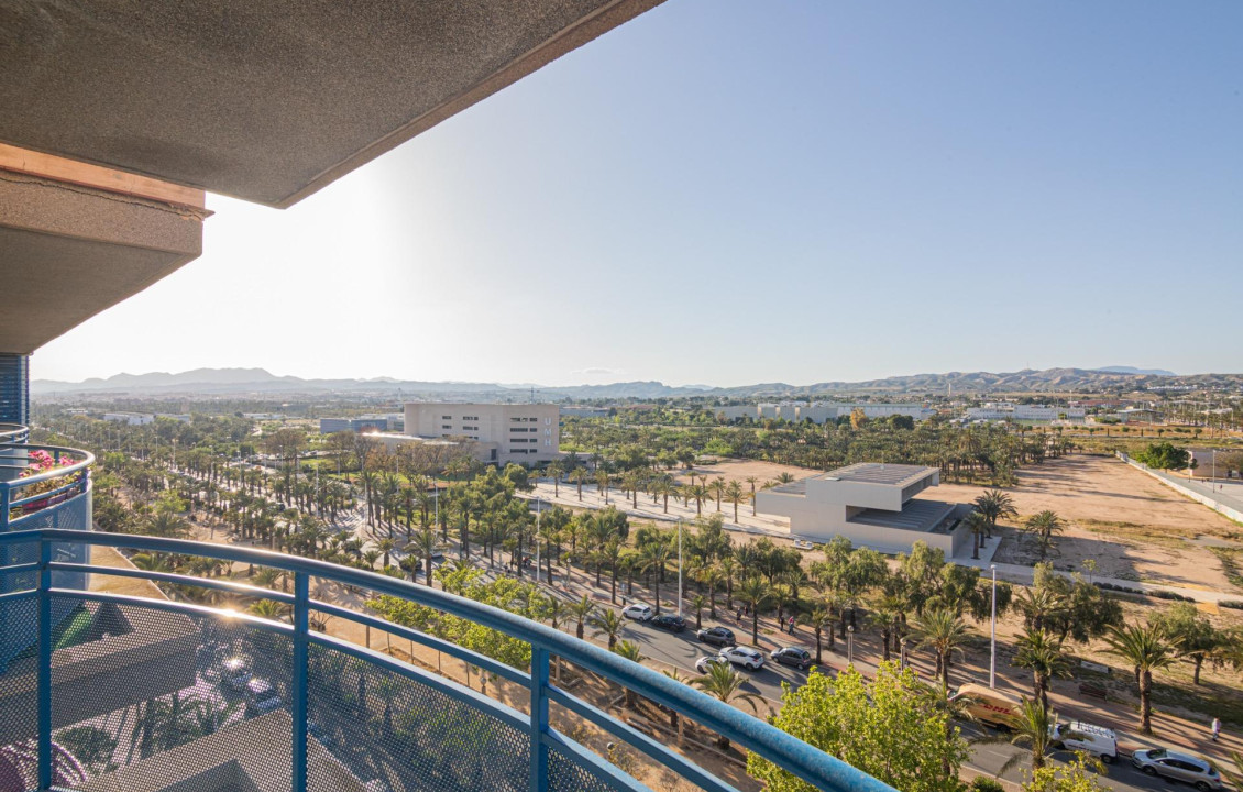 For Sale -  - Elche - Altabix