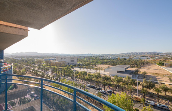 For Sale -  - Elche - Altabix