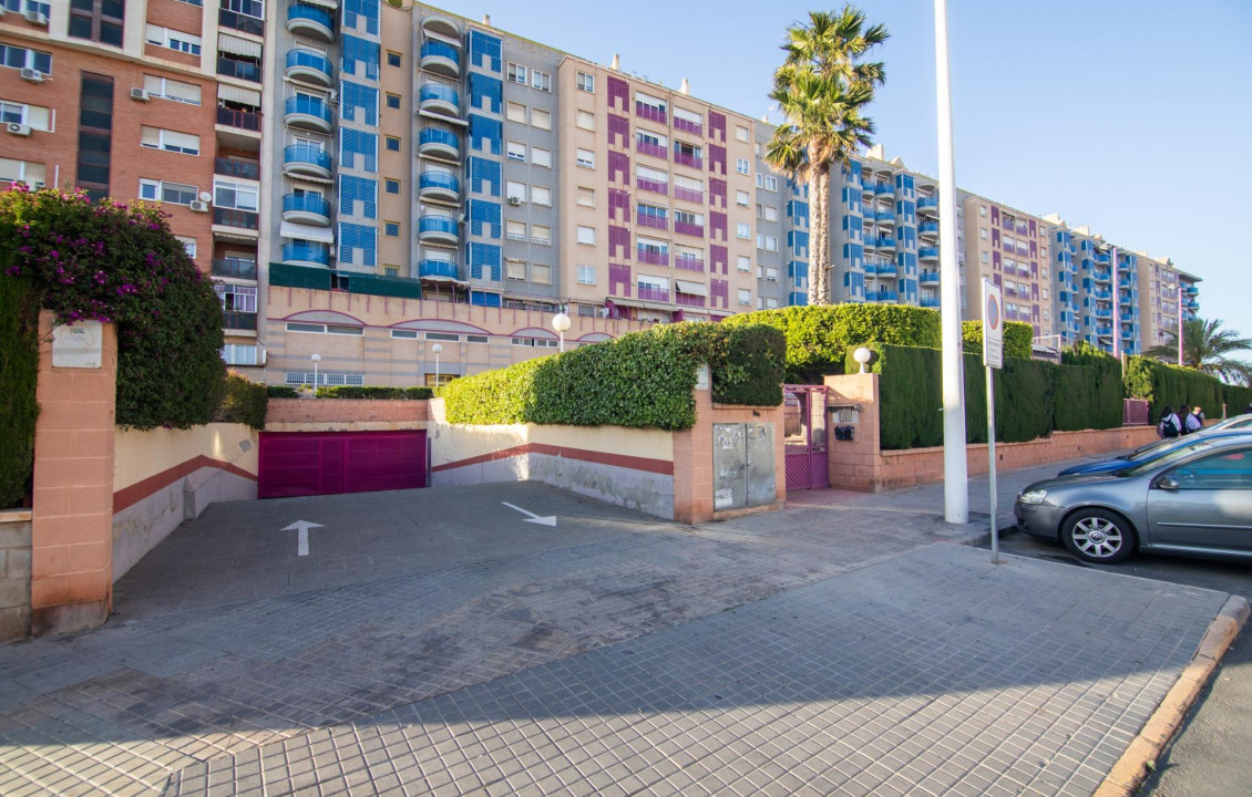 For Sale -  - Elche - Altabix