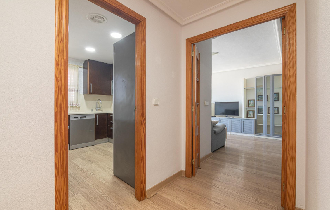 For Sale -  - Elche - Altabix