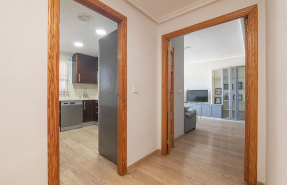 For Sale -  - Elche - Altabix