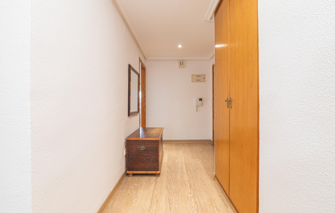 For Sale -  - Elche - Altabix