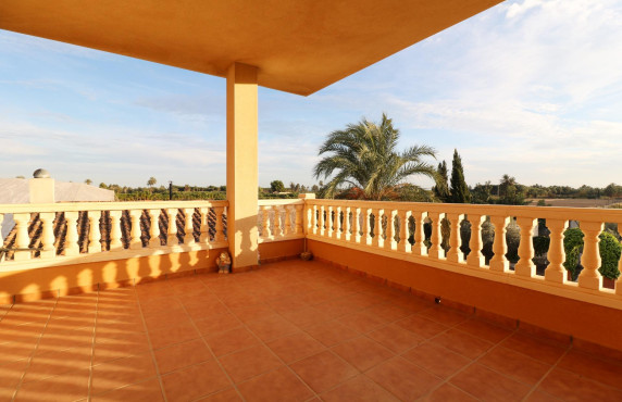 For Sale -  - Elche - Pussol