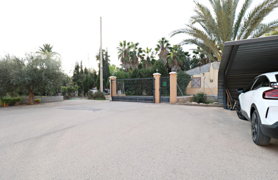 For Sale -  - Elche - Pussol