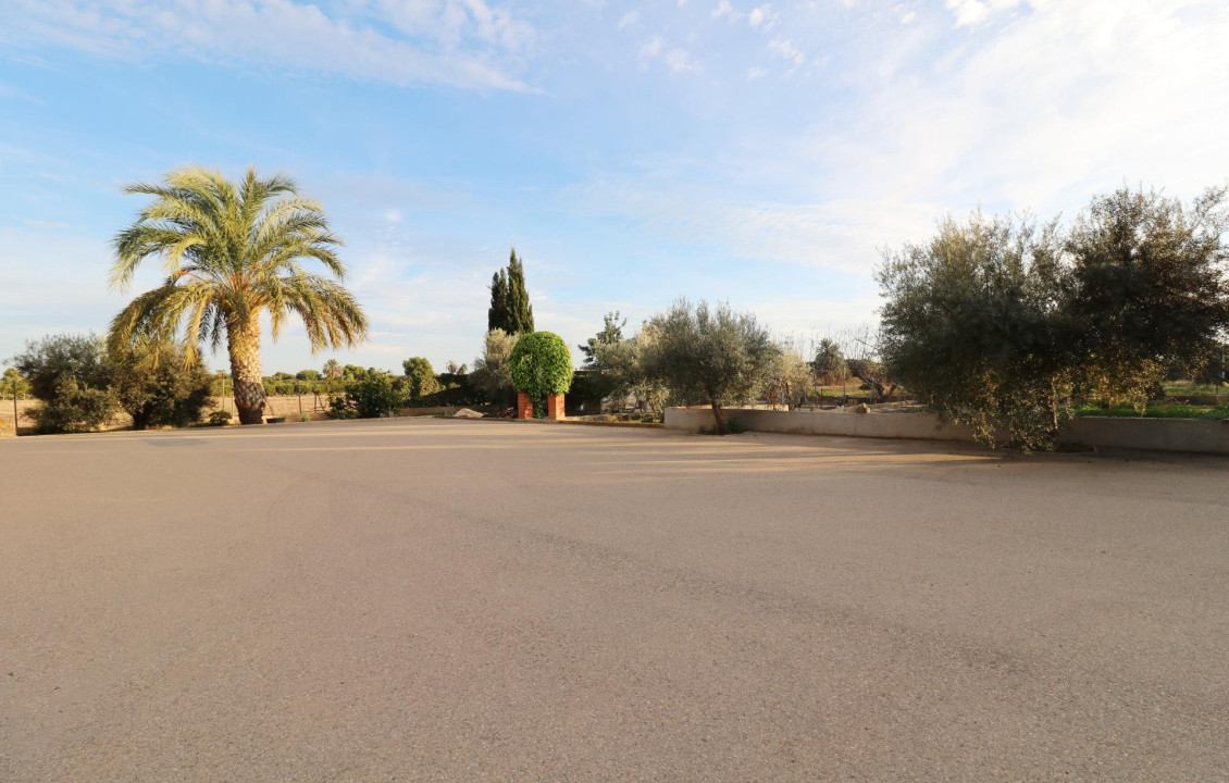 For Sale -  - Elche - Pussol