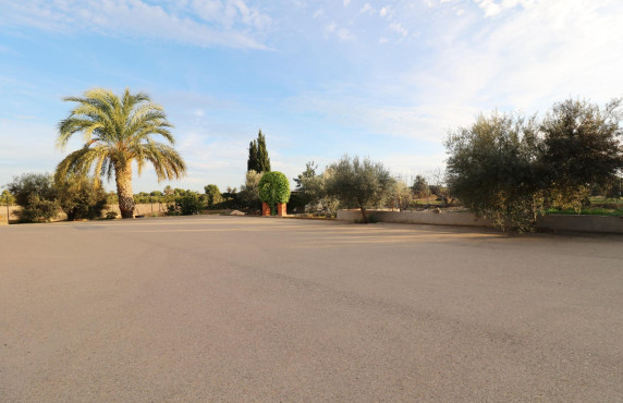 For Sale -  - Elche - Pussol