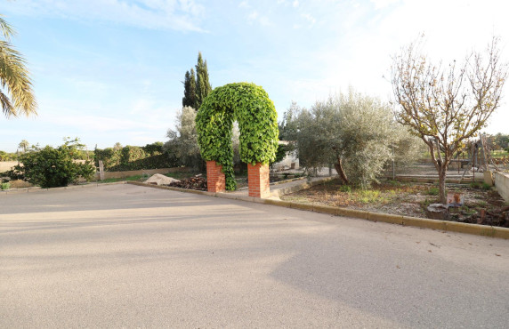 For Sale -  - Elche - Pussol