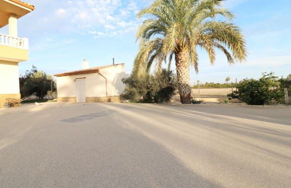 For Sale -  - Elche - Pussol