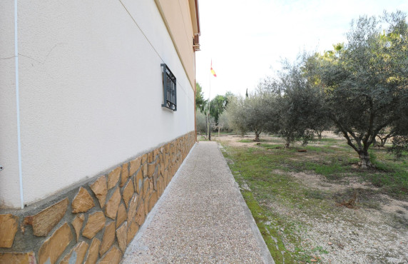 For Sale -  - Elche - Pussol