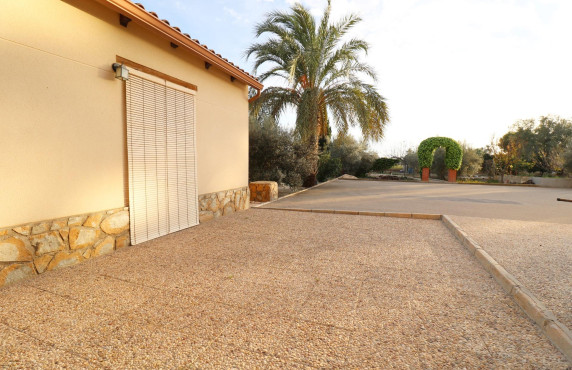 For Sale -  - Elche - Pussol