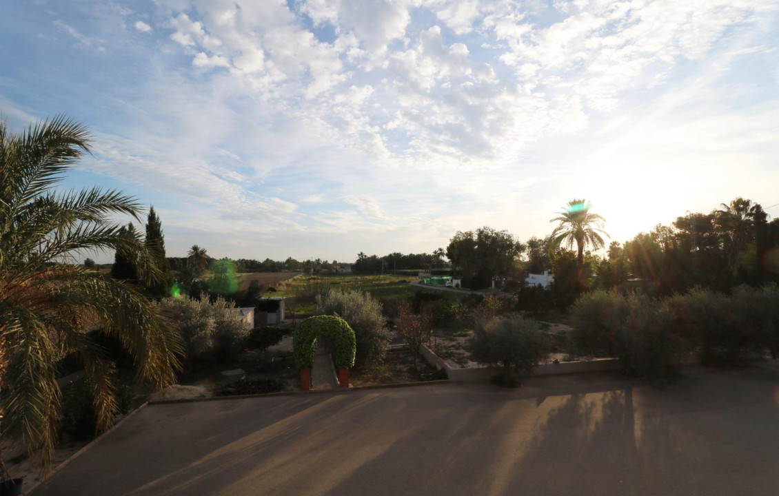 For Sale -  - Elche - Pussol