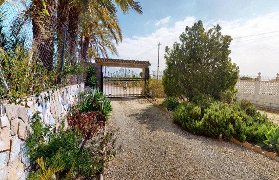 For Sale -  - Albatera - Partida del Moco