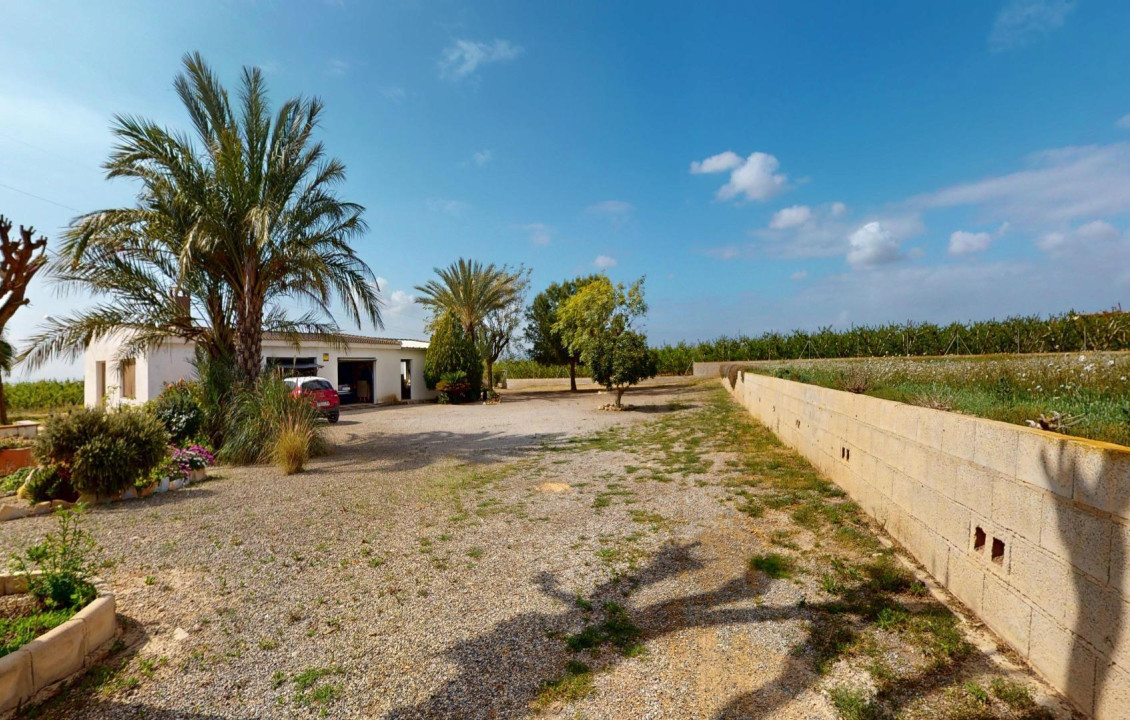 For Sale -  - Albatera - Partida del Moco